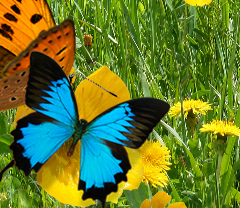 車載LED廣告顯示屏價(jià)格多少錢？常用分類有哪些