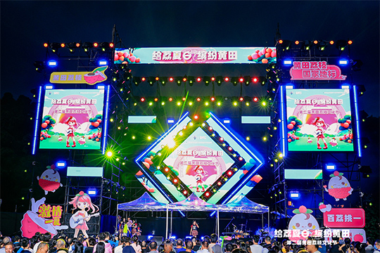 黃田荔枝火出圈！“文化+藝術(shù)”賦能農(nóng)產(chǎn)品綻放新光彩